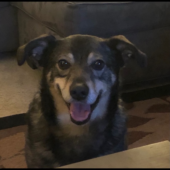 Meet your Posher, Paul - Picture 1 of 1